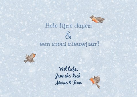 Happy holidays roodborstjes kerstkaart 3