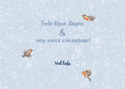 Happy holidays roodborstjes kerstkaart 3