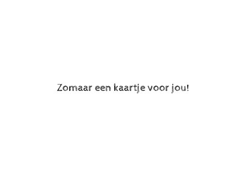 Het vliegend boek 3