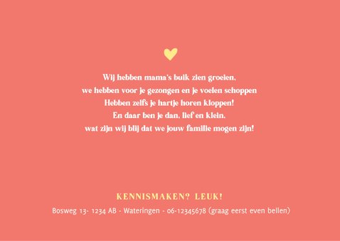 Hip geboortekaartje meisje met naam 2