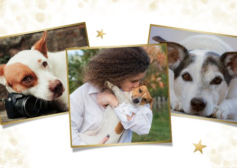 Hippe kerstkaart met grote eigen dieren foto en sneeuwkader 2
