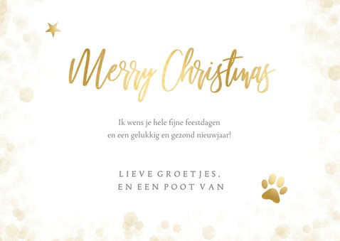 Hippe kerstkaart met grote eigen dieren foto en sneeuwkader  3