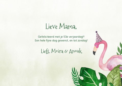 Hippe tropische jungle verjaardagskaart flamingo en toekan 3