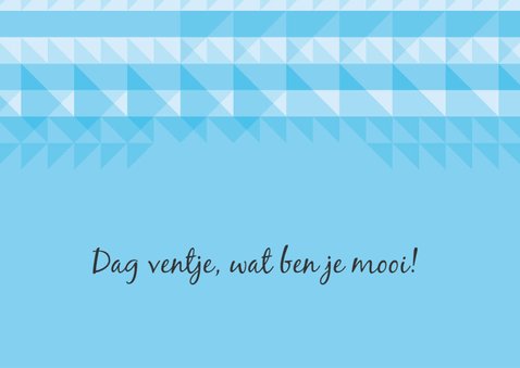 identiteitskaart geboorte jongen 2