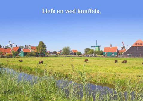 Jarig met humor KOE 3