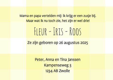 Kaartje voor een drieling - DH 3