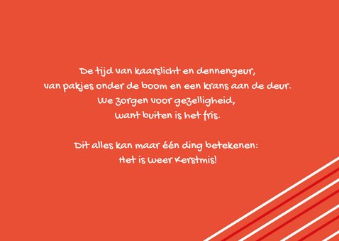 Kerst diertjes 3