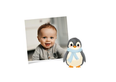 Kerst fotokaart met schattige baby pinguïn hartje 2