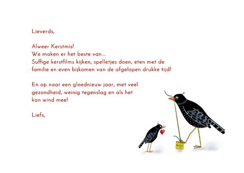 Kerst - vogels met kerstkadootjes 3