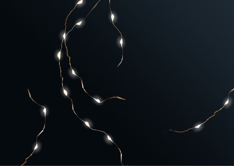 Kerstkaart 2026-2027 met 2 foto's en takjes 2