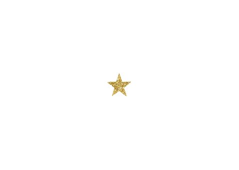 Kerstkaart 2026 goud glitter letters groot Achterkant