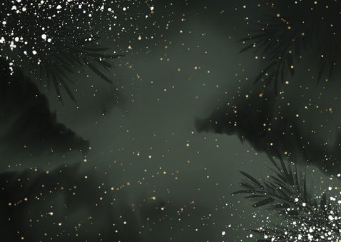 Kerstkaart 2026 kerstbal met foto Achterkant