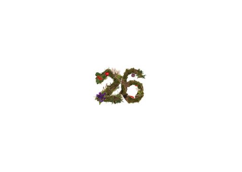Kerstkaart 2026 natuur en kerstbal foto Achterkant
