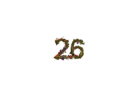 Kerstkaart 2026 natuur het bos roodborstjes Achterkant