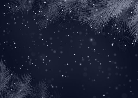 Kerstkaart 2027 blauwe dennentakken Achterkant