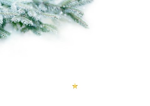Kerstkaart 'Bedankt' dennentakjes en quotes Achterkant
