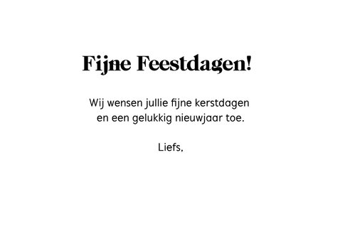 Kerstkaart cavia met kroontje 3