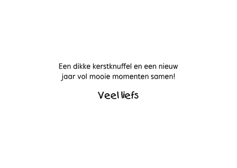Kerstkaart - Dikke kerstknuffel 3
