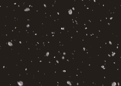 Kerstkaart foto-effect sneeuw op foto Achterkant
