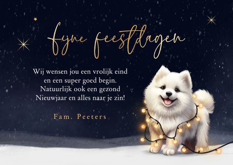 Kerstkaart foto kerst hond Samojeed puppy winter lampjes 3