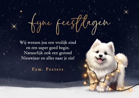 Kerstkaart foto kerst hond Samojeed puppy winter lampjes 3