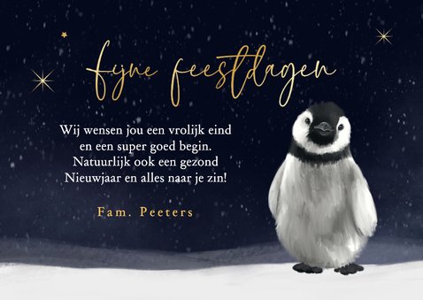 Kerstkaart foto pinguïn winter sneeuw sterren feestdagen 3