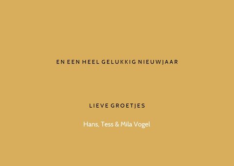 Kerstkaart fotolijstje quote lichtpuntjes 3