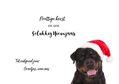 Kerstkaart hond Rottweiler met kerstmuts van de kerstman 3