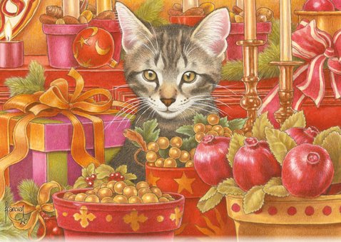 Kerstkaart kitten tussen kerstkadootjes 2