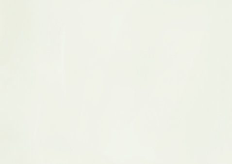 Kerstkaart merry new home dennentakjes besjes 2