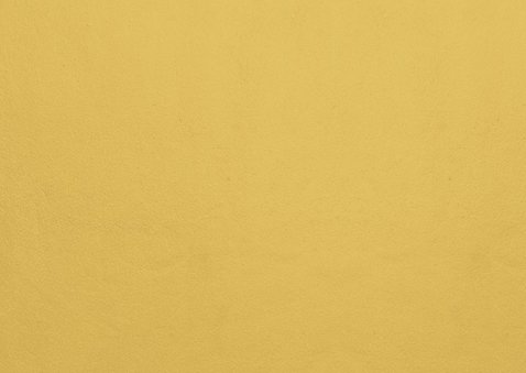 Kerstkaart met een eigen foto en een gouden vlak met letters 2
