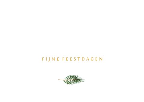 Kerstkaart met eigen foto en een groen takje 3