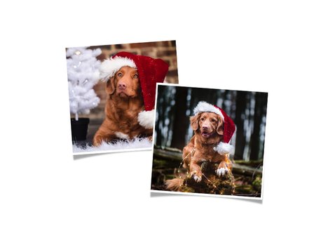 Kerstkaart met foto corona - ingewikkeld jaar 2