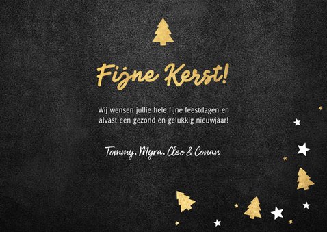 Kerstkaart met foto, kerstbomen, sterren en 'Fijne Kerst!' 3