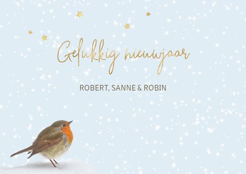 Kerstkaart met foto roodborst 3