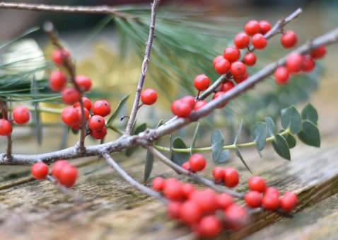 Kerstkaart met foto van takje met rode besjes 2