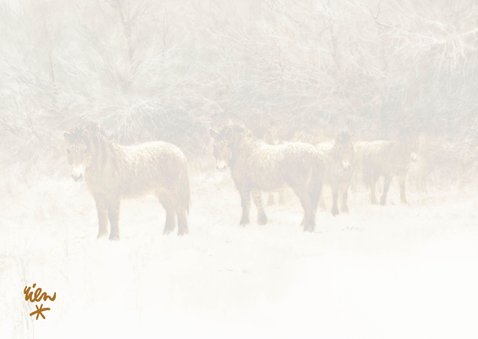 Kerstkaart met kudde paarden in winterlandschap 2