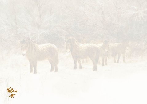 Kerstkaart met kudde paarden in winterlandschap 2