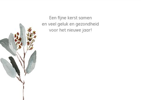 Kerstkaart mint Secret of Christmas 3