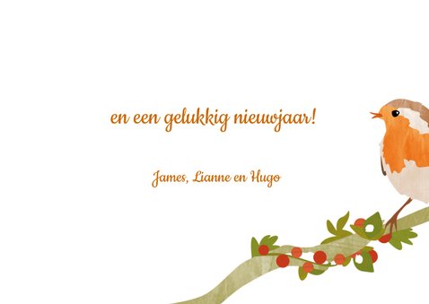 Kerstkaart roodborstjes sneeuw 3