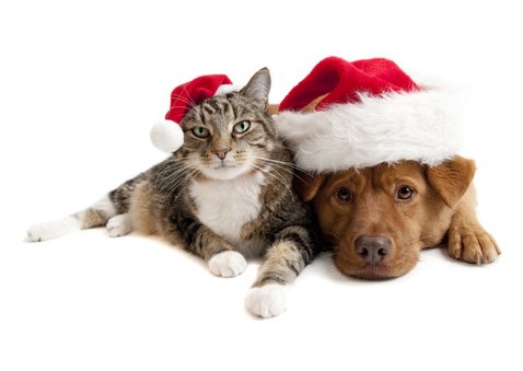 Kerstkaart Sending Warmest Wishes goudlook met eigen foto 2