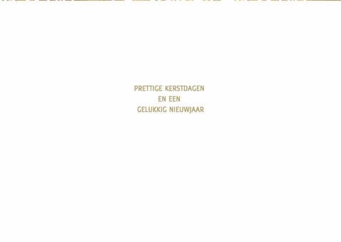 Kerstkaart Sneeuwvlokken groot 3