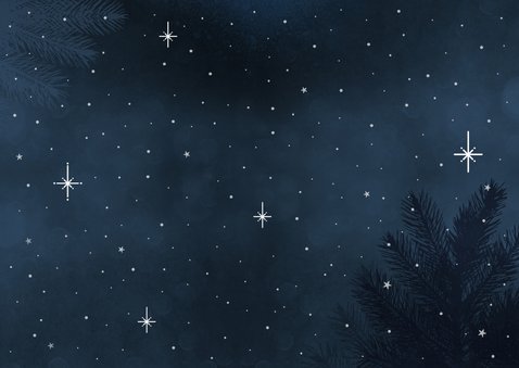 Kerstkaart teckel met lampjes, sneeuw en roodborstje Achterkant