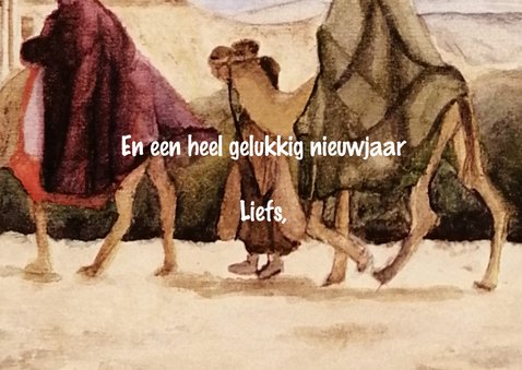 Kerstkaart van dromedarissen 3