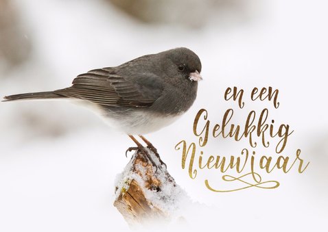 Kerstkaart vogel sneeuw goud 2