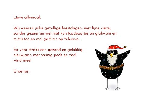Kerstkaart vogels met kerstmuts en baard in de sneeuw 3