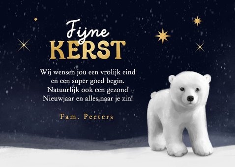 Kerstkaart winter ijsbeer foto sterren goud fijne kerst 2026 3