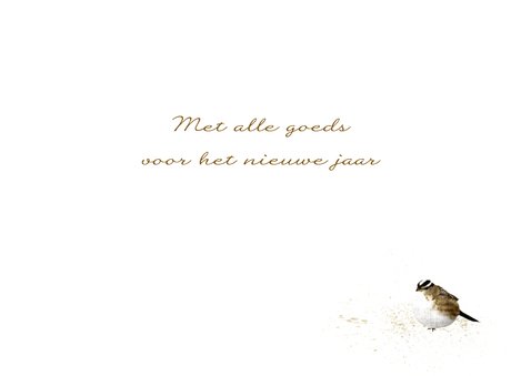 Kerstkaart Wintervogeltje 3