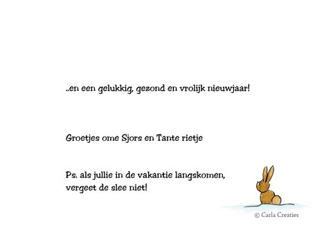 Kerstkaarten SJors en Odey op slee 3