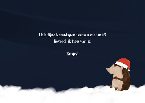 Kerstkaartje dikke kerstknuffel egeltjes en foto 3